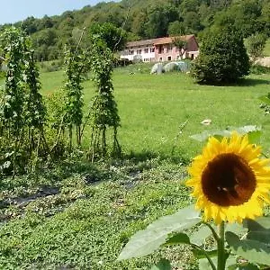 I Boschi Del Castagno Triches